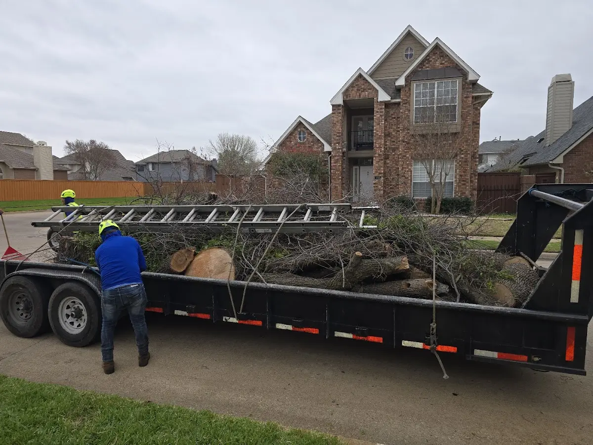 Expert Tree Fertilization with proper safety equipment in Hermleigh